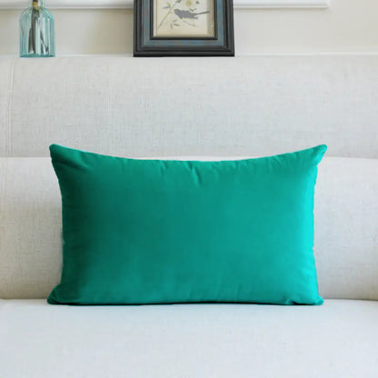 Velvet Throw Pillow for Sofa Decor