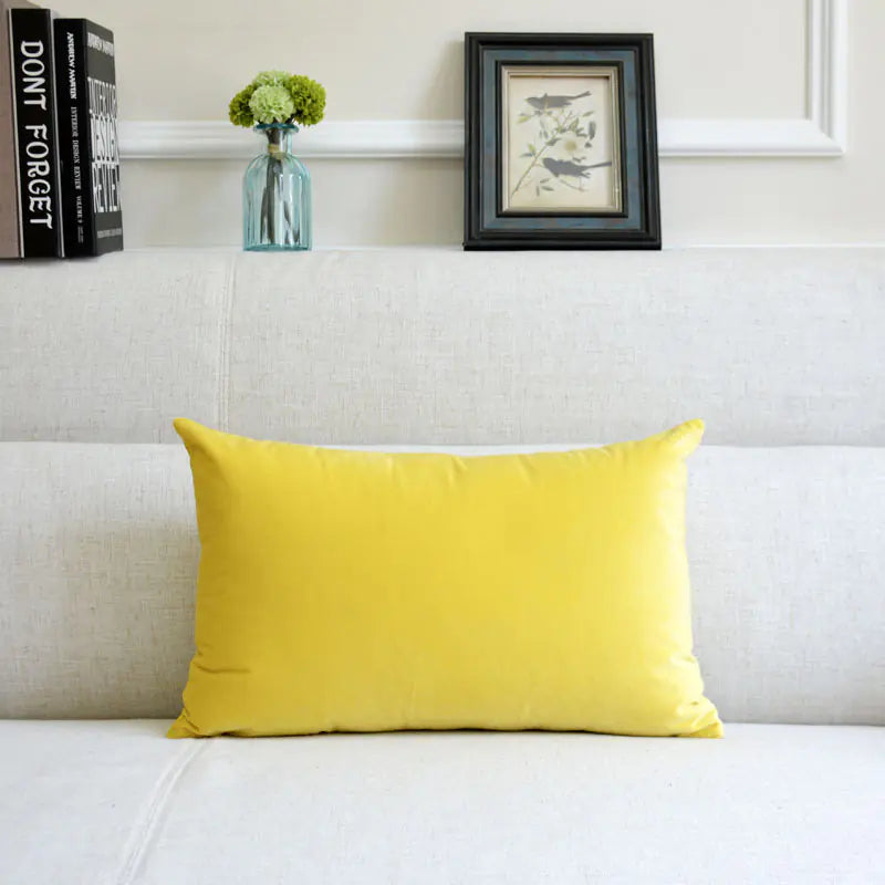 Velvet Throw Pillow for Sofa Decor
