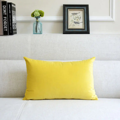 Velvet Throw Pillow for Sofa Decor