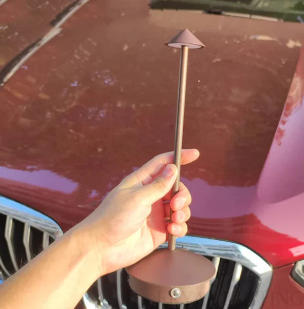 Modern Minimalist LED Table Decor Lamp