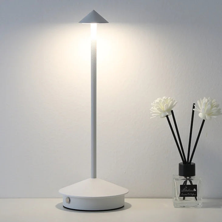 Modern Minimalist LED Table Decor Lamp