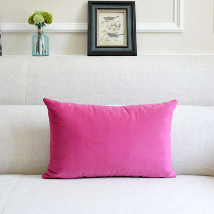 Velvet Throw Pillow for Sofa Decor
