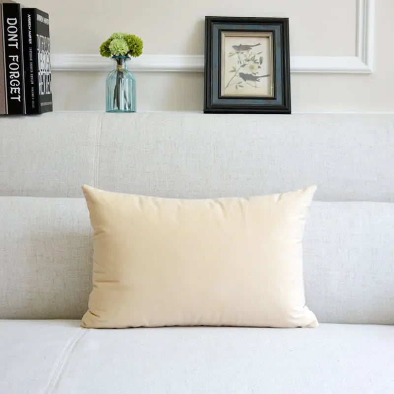 Velvet Throw Pillow for Sofa Decor