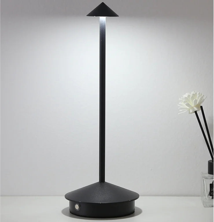 Modern Minimalist LED Table Decor Lamp