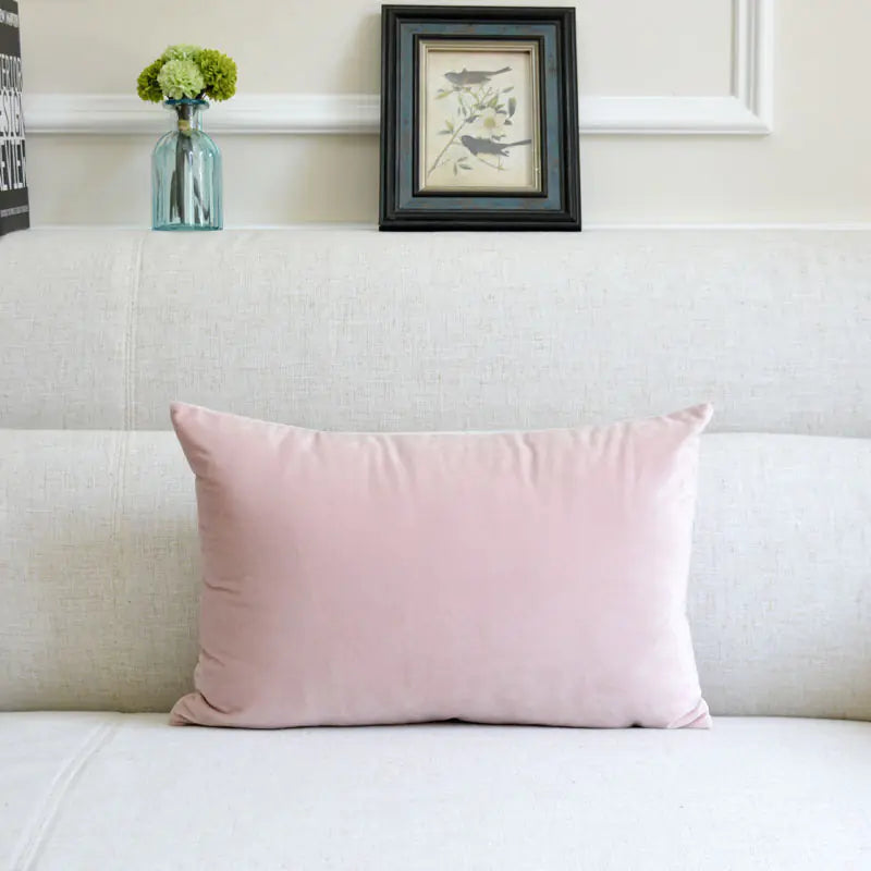 Velvet Throw Pillow for Sofa Decor