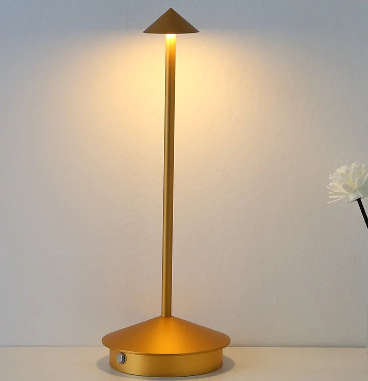Modern Minimalist LED Table Decor Lamp
